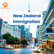 Wave Visas | Professional Visa and New Zealand immigration Support