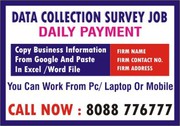 Data Collection Survey Job | How do I make income from home jobs | 300