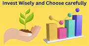 Investing in Unlisted Shares,  Unlisted shares represent ownership in a