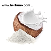 Vegan Coconut Milk Powder – A Dairy-Free Essential